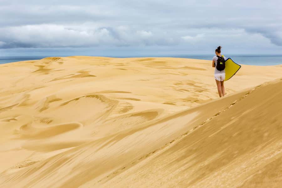 Cape Reinga: Day Trip from Paihia, Kerikeri, or Kaitaia - Key things you should know before you go