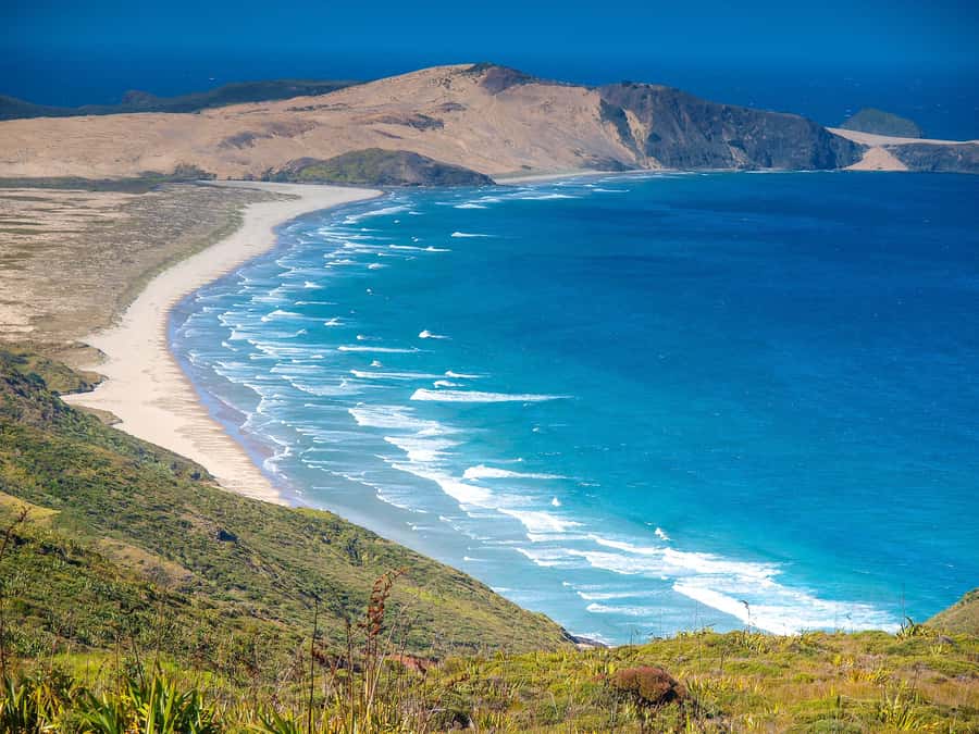 Cape Reinga: Day Trip from Paihia, Kerikeri, or Kaitaia - How the Far North day fits into 10 hours without feeling rushed