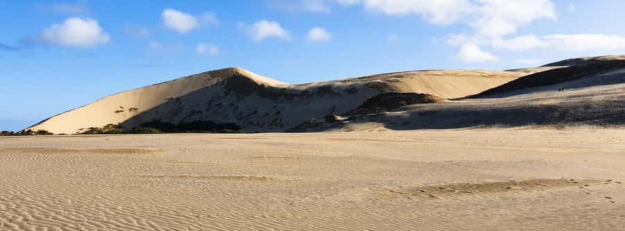 Cape Reinga: Day Trip from Paihia, Kerikeri, or Kaitaia - Te Paki Stream dunes and sandboarding: fun, but plan for the cash payment