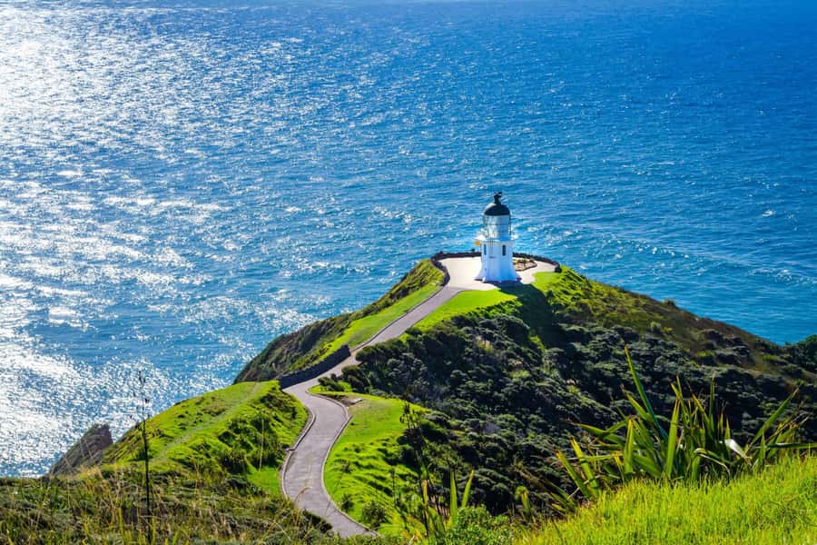 Cape Reinga: Day Trip from Paihia, Kerikeri, or Kaitaia - Cape Reinga lighthouse: the sound, the meaning, and the walk out to the edge