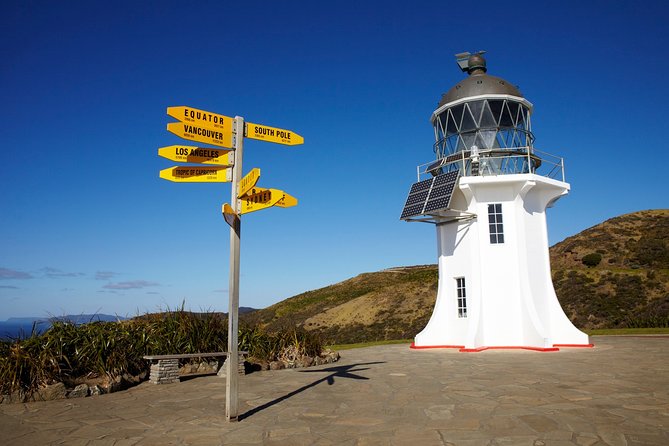 Cape Reinga Half-Day Tour Including Scenic Flight - Te Paki dunes and the quicksand stream: the fun ending