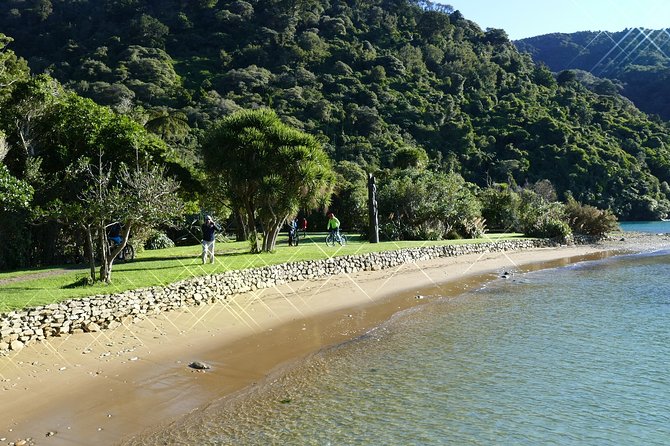 Captain Cook and Dolphin Cruise - Queen Charlotte Sound Cruise: Wildlife Spotting With Real Purpose