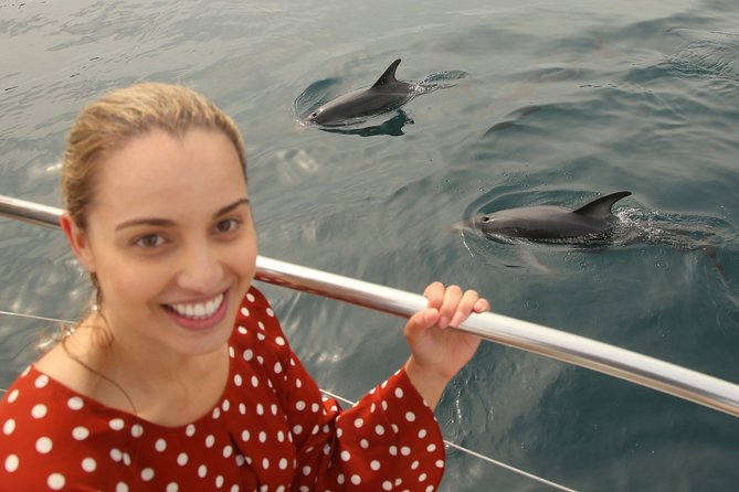 Captain Cook and Dolphin Cruise - Ship Cove and the 170-Day Captain Cook Connection