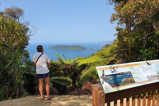 Captain Cook and Dolphin Cruise - Dolphins, Real-Life Chances, and How to Think About It