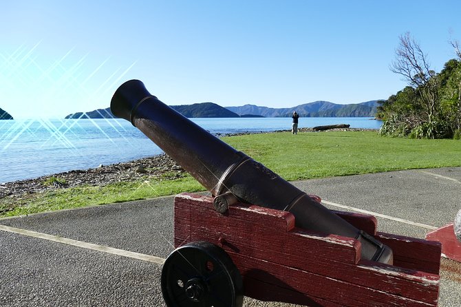 Captain Cook and Dolphin Cruise - Boat Comfort: What to Expect When the Group is Up to 30