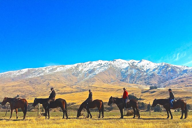 Cardrona High Country Pub Trail Horse Riding Trek (Intermediate+) - How the Cardrona Pub Trail Works in Real Life