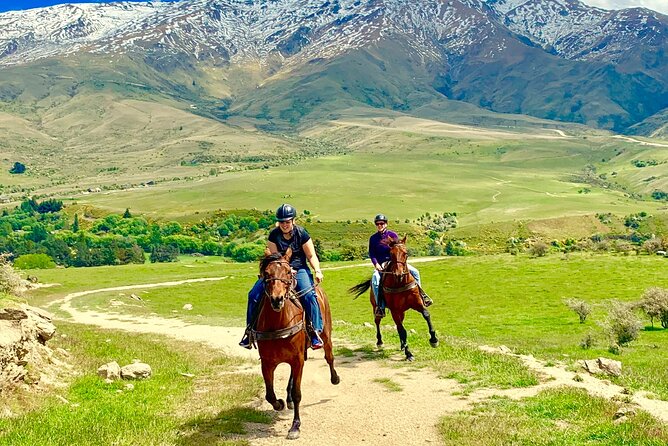 Cardrona High Country Pub Trail Horse Riding Trek (Intermediate+) - Horses, Helmets, and the Value of a Professional Guide