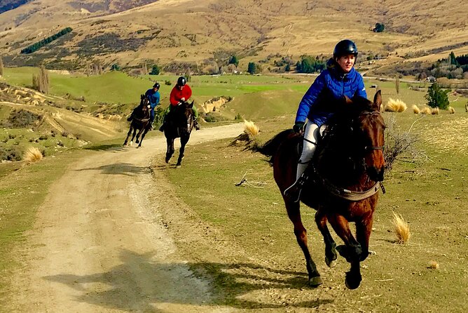 Cardrona High Country Pub Trail Horse Riding Trek (Intermediate+) - Price and Value: What $365.29 Buys You