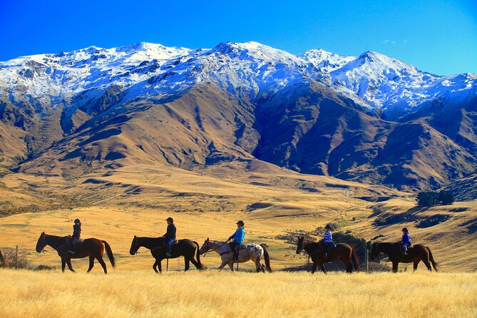 Cardrona High Country Pub Trail Horse Riding Trek (Intermediate+) - The Route: Up Into the Mountains, Down to the Hotel