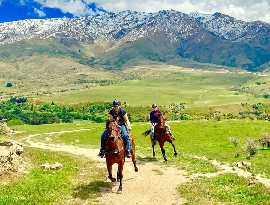 Cardrona Valley: Horse Trekking Experience - Cardrona Valley horse trekking, and why the timing matters