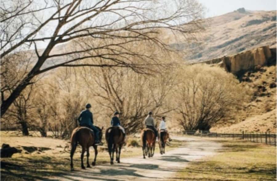 Cardrona Valley: Horse Trekking Experience - The 1 on 1 lesson: steering, stopping, and confidence that sticks