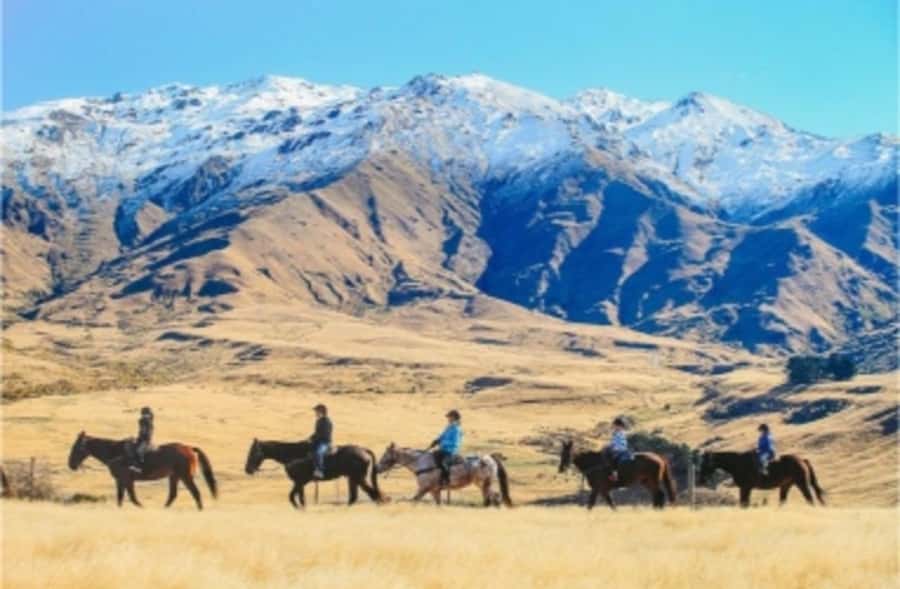 Cardrona Valley: Horse Trekking Experience - Loose rein on a mountain trail: what it feels like in practice
