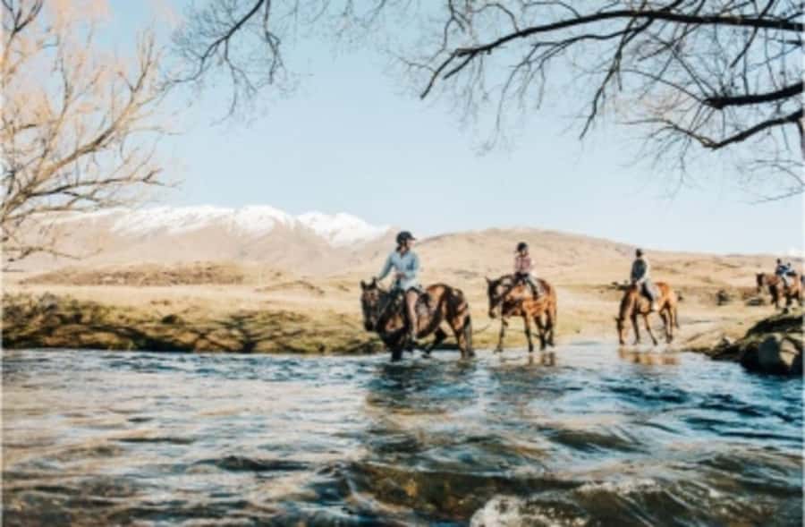 Cardrona Valley: Horse Trekking Experience - Instructors and the calm teaching style that makes beginners feel safe