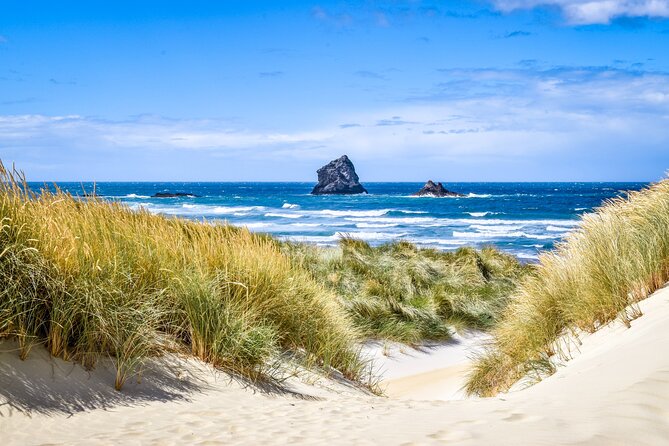 Castle, Coast & City Tour - 8 pax max - Castle Entrance Included - Key things I’d plan around