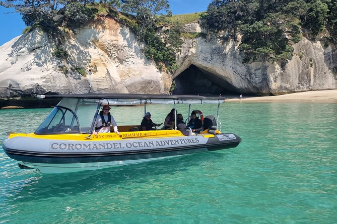Cathedral Cove 2 Hour Guided Tour Explore Marine Wonders - Key highlights you will actually care about