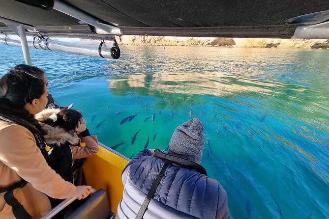 Cathedral Cove 2 Hour Guided Tour Explore Marine Wonders - Why this 2-hour boat tour from Tairua fits real schedules