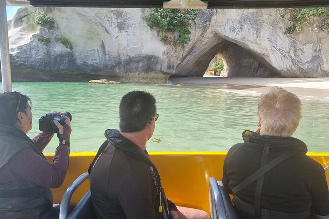 Cathedral Cove 2 Hour Guided Tour Explore Marine Wonders - Hot Water Beach: a short break that works if you plan for footwear and timing