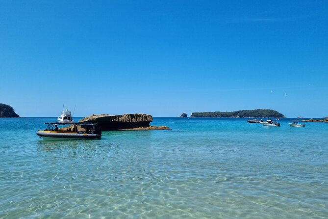 Cathedral Cove 2 Hour Guided Tour Explore Marine Wonders - From Boat Harbour: seeing the Coromandel Peninsula from the water