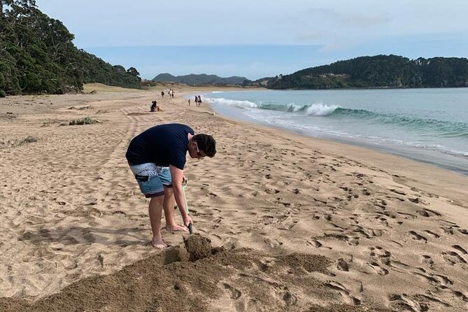 Cathedral Cove and Hot Water Beach Scenic Day Tour from Auckland - Who This Tour Is For (and who might prefer a different plan)