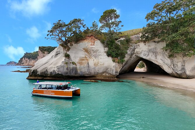 Cathedral Cove Coast and Cave Activity - Mercury Bay Discoveries Cathedral Cove Coast and Cave Activity: The Rick Steves-Style Take