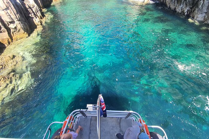 Cathedral Cove Coast and Cave Activity - Snorkeling the Marine Reserve: Gear, Life Jackets, and Fish You Might See