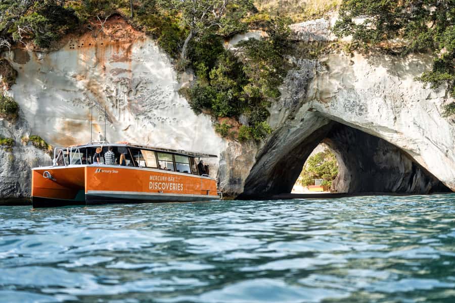 Cathedral Cove Coast and Cave Tour - Key highlights at a glance