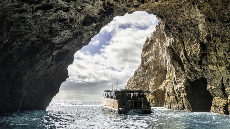 Cathedral Cove Coast and Cave Tour - Entering Orua Sea Cave: the moment that changes the feel of the trip