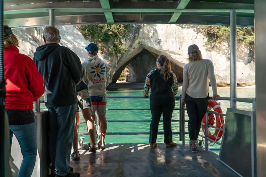 Cathedral Cove Coast and Cave Tour - Snorkeling in Te Whanganui-o-Hei: snapper time, not a dry run