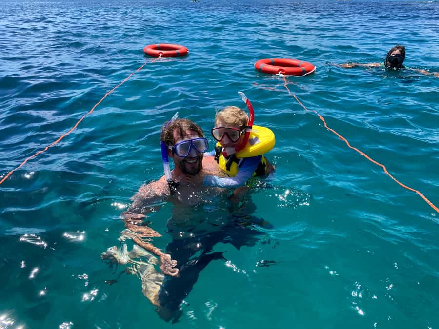 Cathedral Cove Coast and Cave Tour - Who should book this tour, and who might rethink it