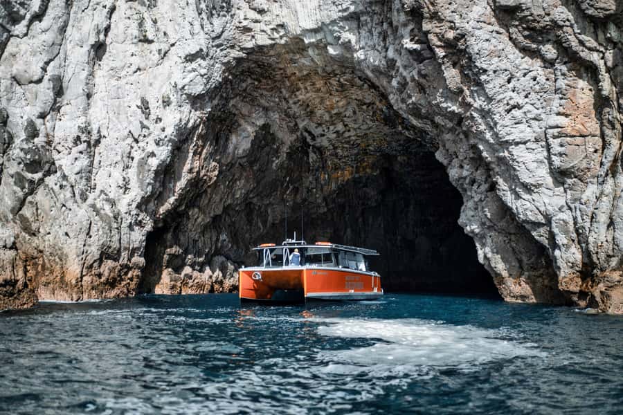 Cathedral Cove Coast and Cave Tour - Boarding in Whitianga: comfort-first details that actually help