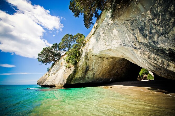 Cathedral Cove & Coromandel Peninsula Small-Group Day Tours - Hot Water Beach is the big yes, but tides run the show