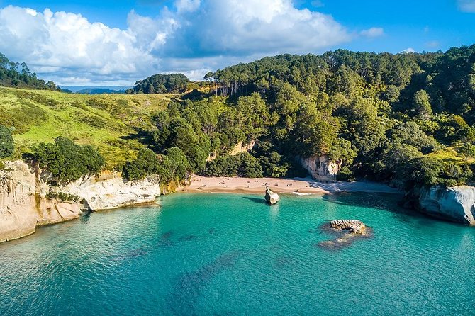 Cathedral Cove & Coromandel Peninsula Small-Group Day Tours - Weather and track safety: what to bring and how to stay comfortable