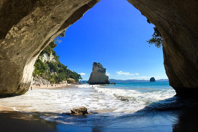 Cathedral Cove & Coromandel, Small-Group Tour from Auckland - Key things that make this Coromandel day trip tick