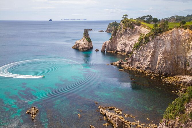 Cathedral Cove & Coromandel, Small-Group Tour from Auckland - Coromandel Peninsula stops: short walks, big viewpoints, real breathing room