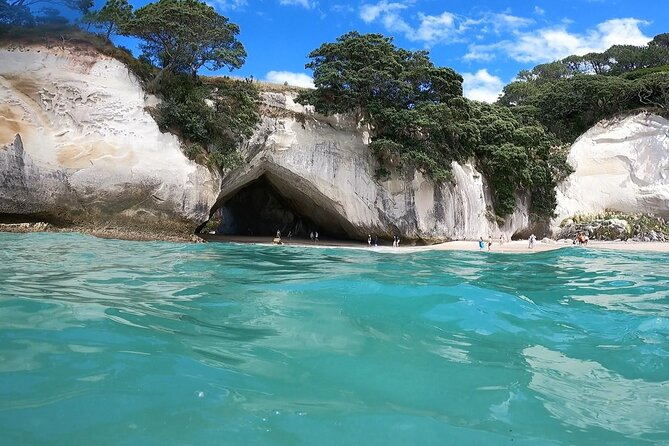 Cathedral Cove & Coromandel, Small-Group Tour from Auckland - The drive back to Auckland, plus “secret stops” that keep it from feeling repetitive