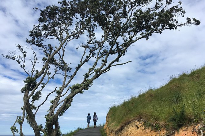 Cathedral Cove Day Trip from Auckland - Key highlights in plain terms