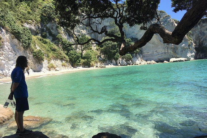 Cathedral Cove Day Trip from Auckland - Getting to Hot Water Beach without turning it into a chore