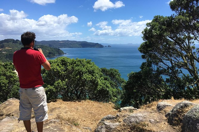 Cathedral Cove Day Trip from Auckland - Mount Paku: quick hike, wide views over old volcano country
