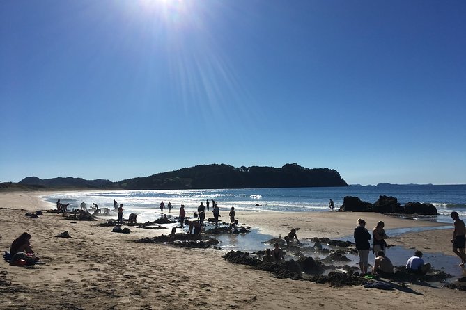 Cathedral Cove Day Trip from Auckland - What the guide actually adds (and why it changes the day)
