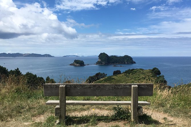 Cathedral Cove Day Trip from Auckland - The value question: why this costs $242.02, and when it’s worth it
