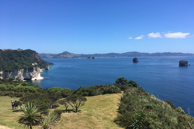 Cathedral Cove Day Trip from Auckland - Timing, pace, and how to plan your own energy