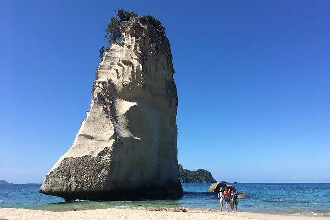 Cathedral Cove Day Trip from Auckland - Cathedral Cove: the short walk that delivers big scenery