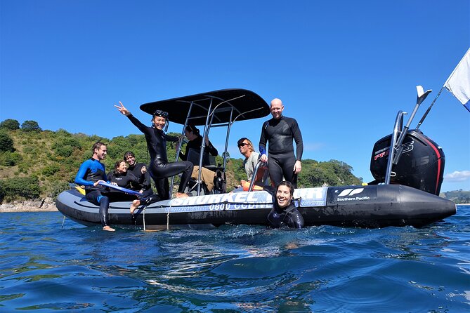 Cathedral Cove Dive & Snorkel- Marine Reserve specialised trips - Key things I’d clock before you go