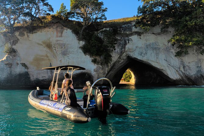 Cathedral Cove Dive & Snorkel- Marine Reserve specialised trips - Small group time, and why it helps your snorkeling hour