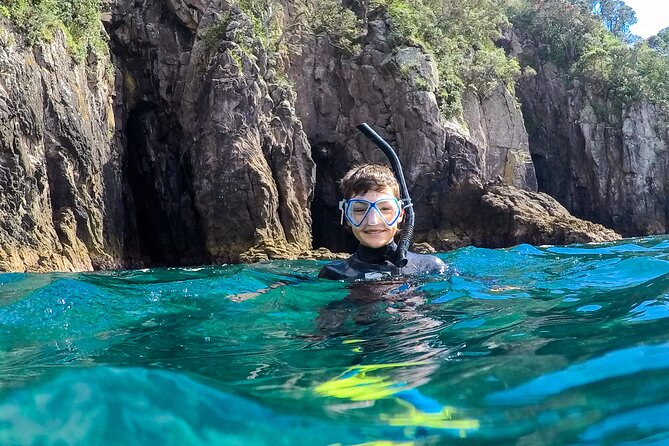 Cathedral Cove Dive & Snorkel- Marine Reserve specialised trips - Practical tips so your hour in the water goes smoothly