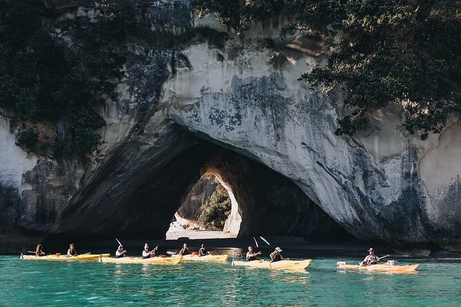Cathedral Cove Kayak Tour - Te Whanganui-a-Hei by kayak: caves, rock gardens, and marine life