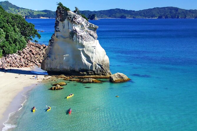 Cathedral Cove Kayak Tour - Should you book this Cathedral Cove Kayak Tour?