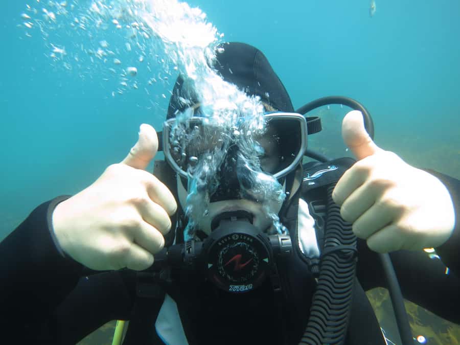 Cathedral Cove Marine Reserve: Snorkeling Boat Trip - What you might see: schools of fish and the chance at larger rays