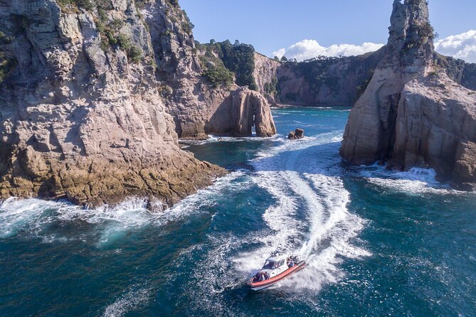 Cathedral Cove Scenic Cruises Whitianga - Key things to know before you go