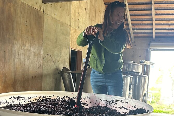 Chefs Private Martinborough Wine Tour with lunch from Wellington - Key highlights at a glance